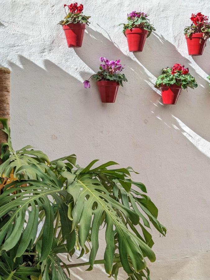 Harbor Getaway In The Heart Of Puerto Banus With Walking Dictance To Everything Appartement Marbella