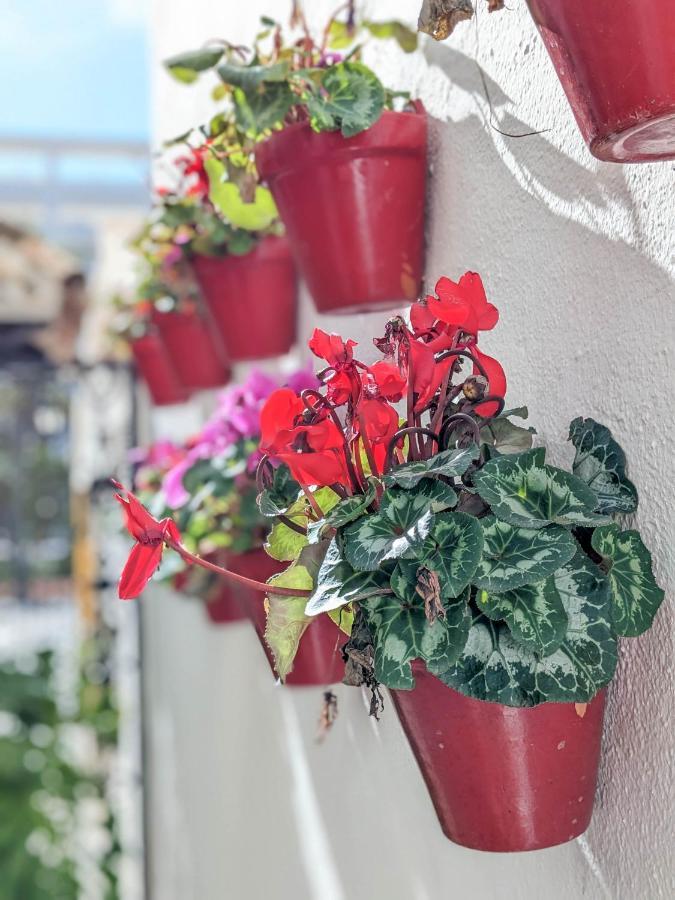 Appartement Harbor Getaway In The Heart Of Puerto Banus With Walking Dictance To Everything